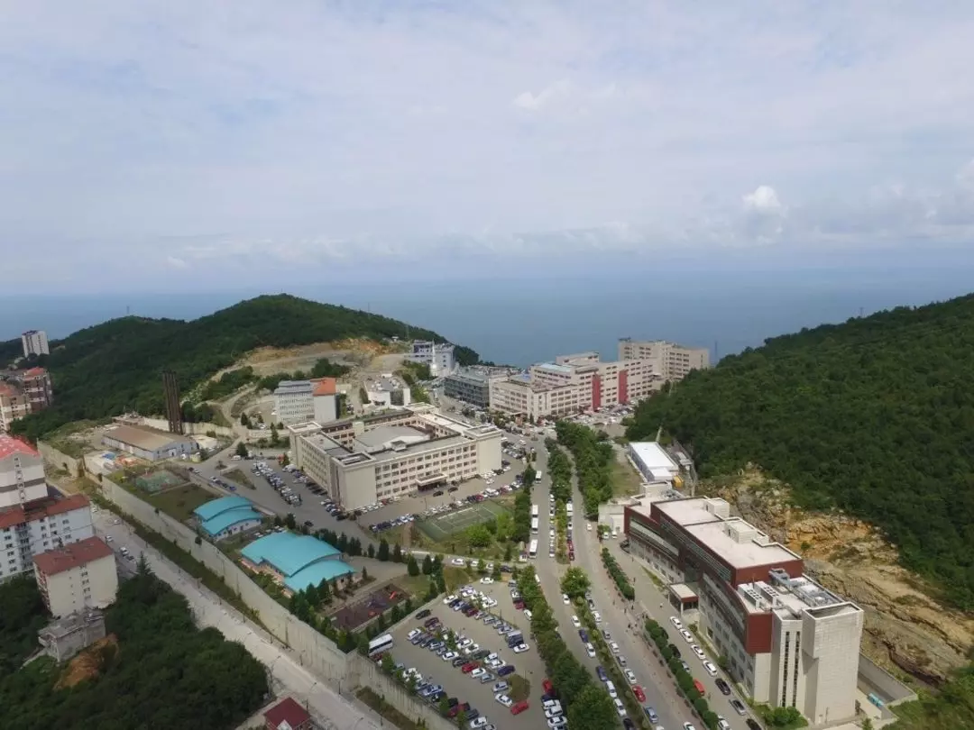 جامعة بولنت اجاويد - Zonguldak Bülent Ecevit Üniversitesi