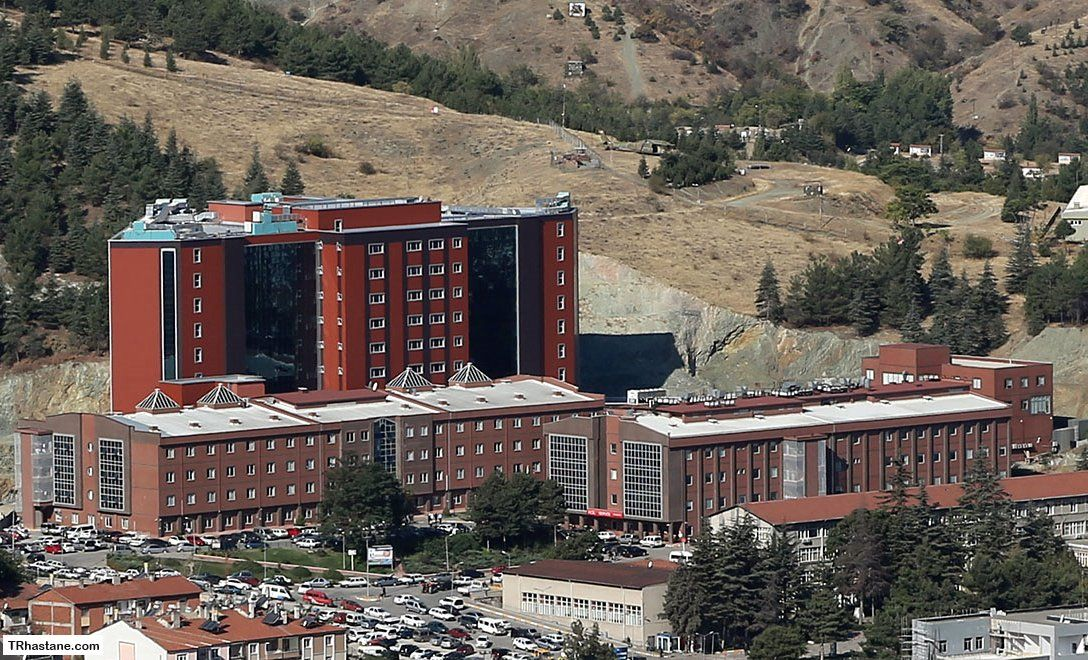 TOKAT GAZİOSMANPAŞA ÜNİVERSİTESİ