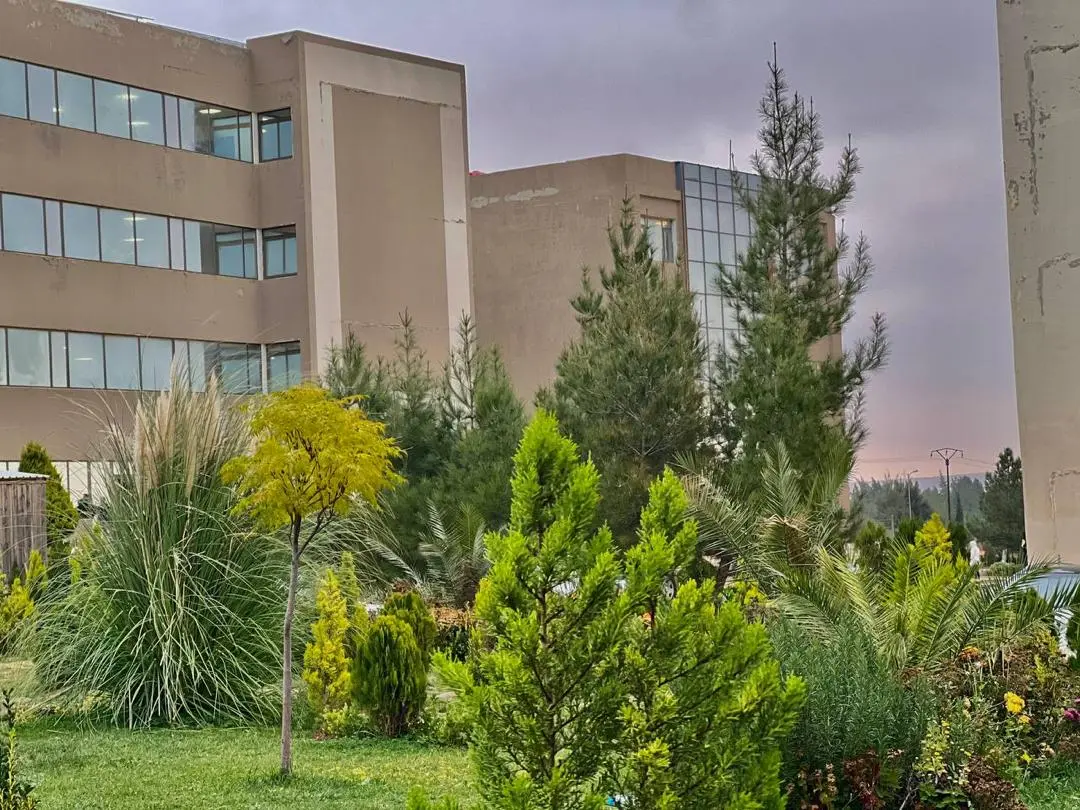 جامعة الرشيد الدولية الخاصة للعلوم والتكنولوجيا