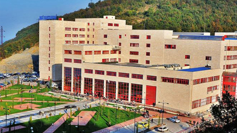 جامعة بولنت اجاويد - Zonguldak Bülent Ecevit Üniversitesi