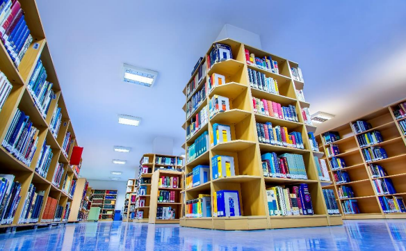 جامعة اولوداغ - Bursa Uludağ Üniversitesi